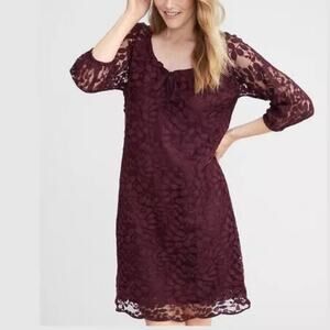 Garnet Hill Dress Size 2 Brown Bohème Easy Lace Knee Length